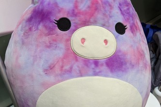 Programmatically Unaided Conversational Companion (PUCC)