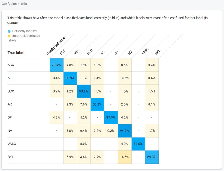 melanoma model – screenshot 4