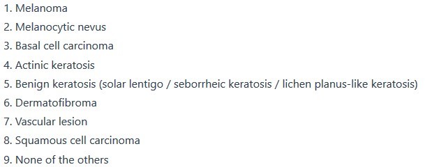 melanoma model – screenshot 1