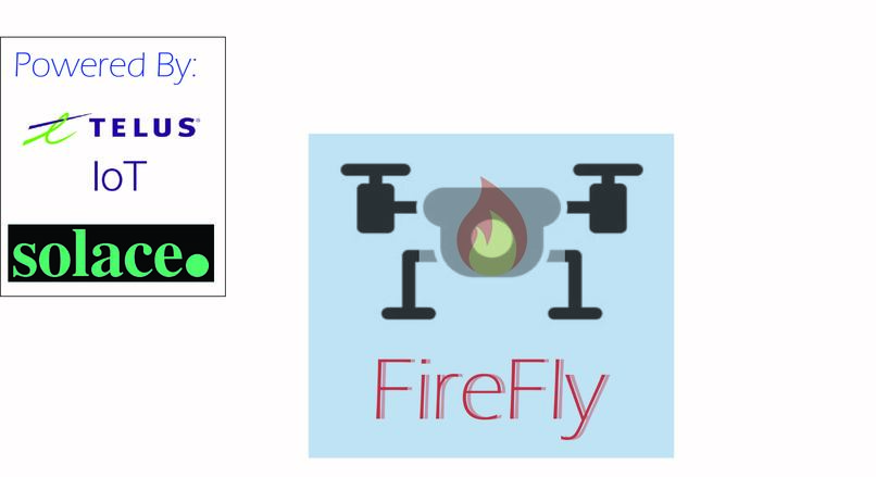 FireFly – screenshot 1