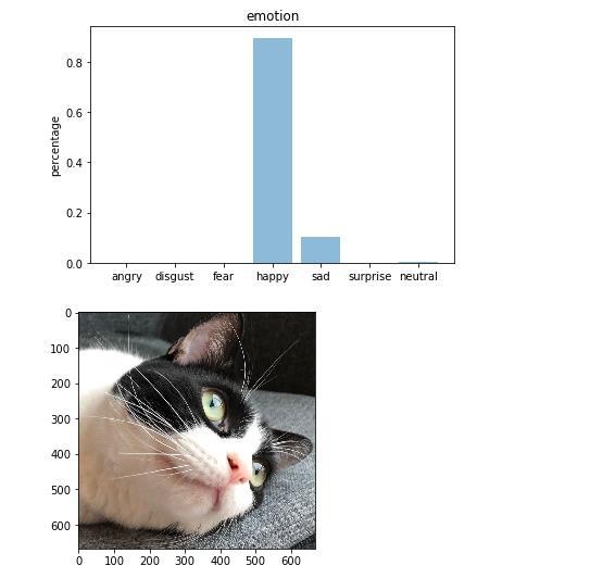 Emotion Recognizer  – screenshot 2