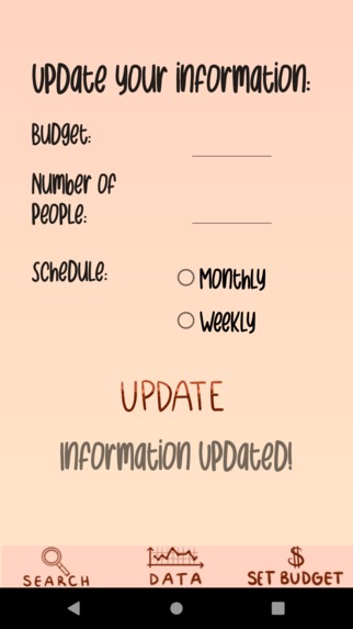 Budget – screenshot 3