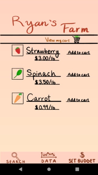 Budget – screenshot 5