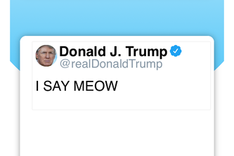 Politically Incorrect