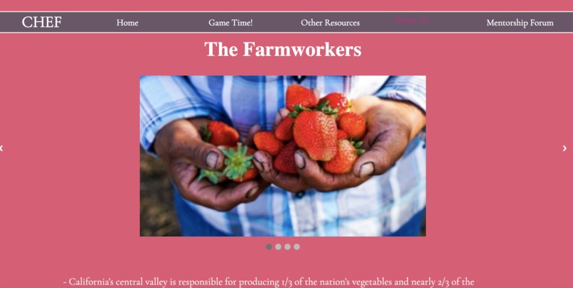 Children Education Foundation (CHEF) – screenshot 8