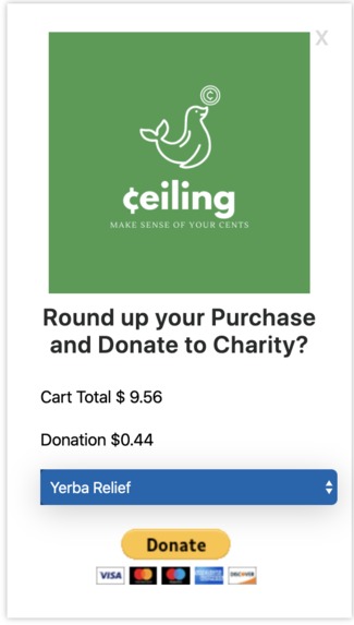 ₵eiling: Make Sense of Your Cents – screenshot 2