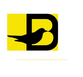 Back 2 Black – screenshot 1