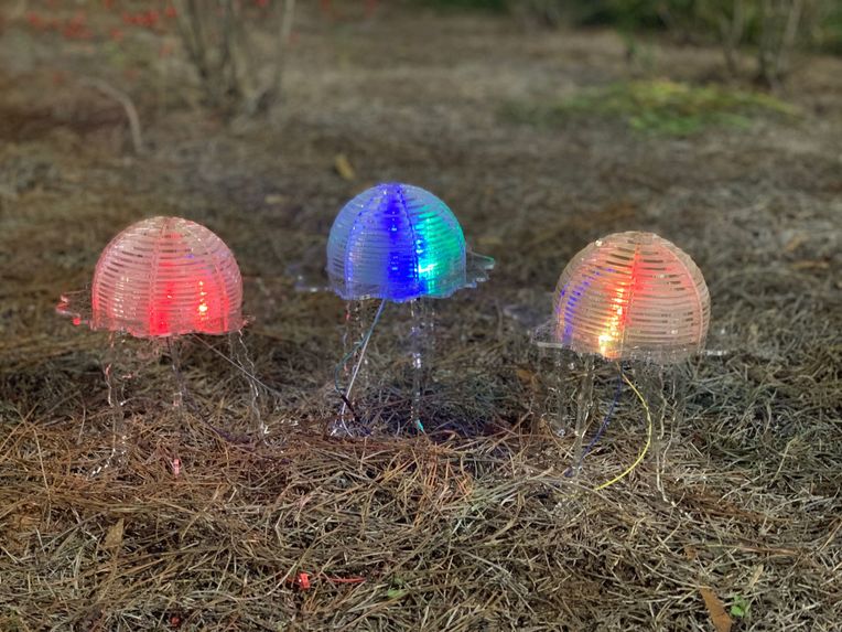 Jellyfish Lights – screenshot 1