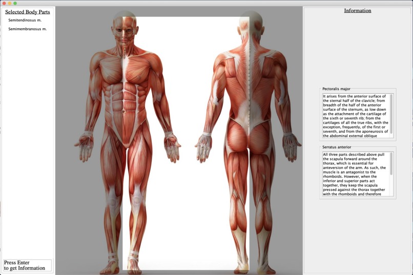 BodyExplorer – screenshot 1