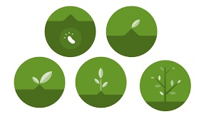 VolunTree – screenshot 3
