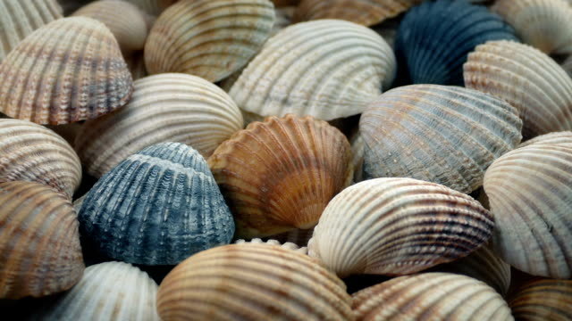 Shell challenge team 6 – screenshot 1