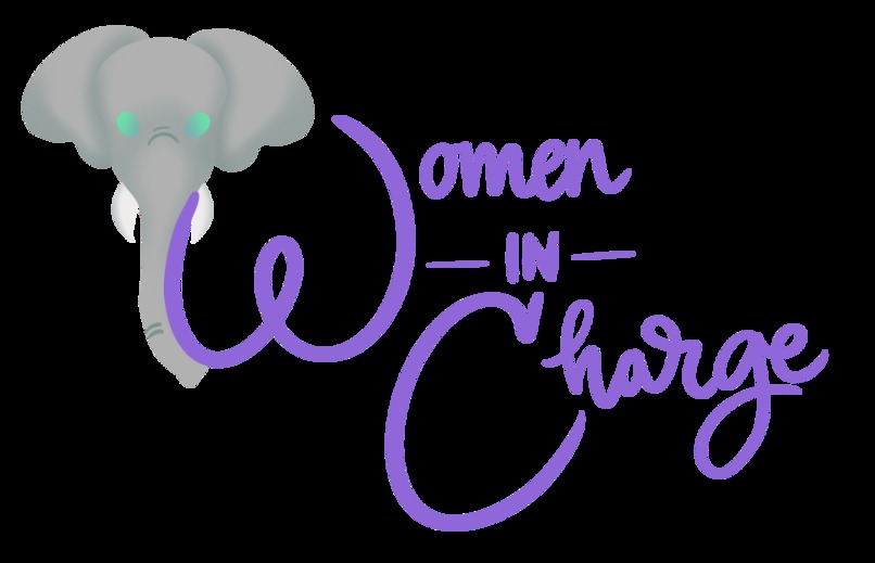Women in Charge Site – screenshot 4