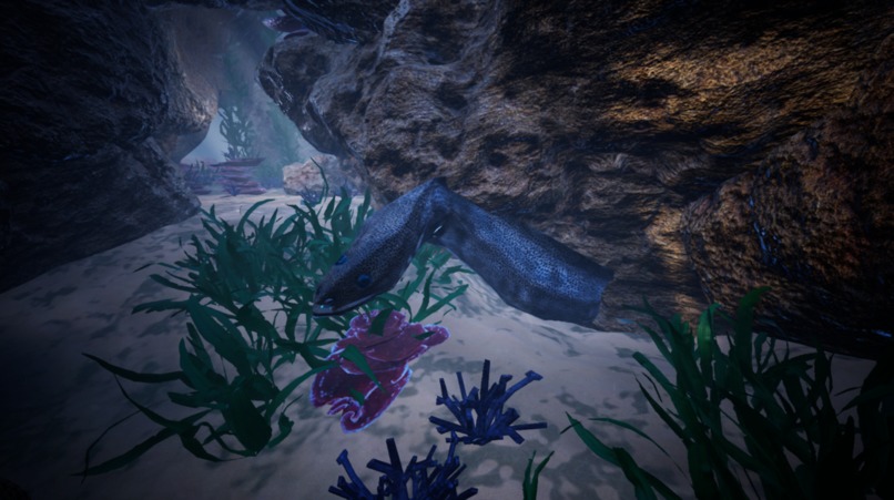 VR Voyager – screenshot 5