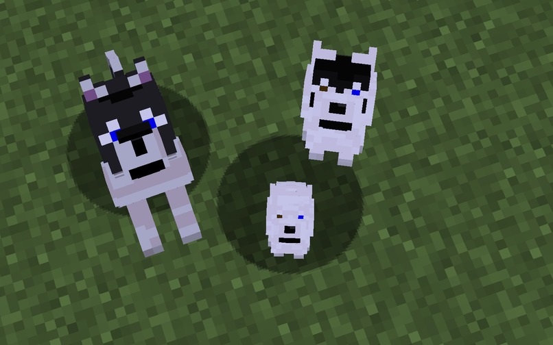 Dog Genetics in Minecraft – screenshot 2