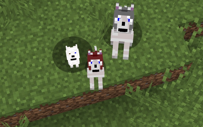 Dog Genetics in Minecraft – screenshot 3