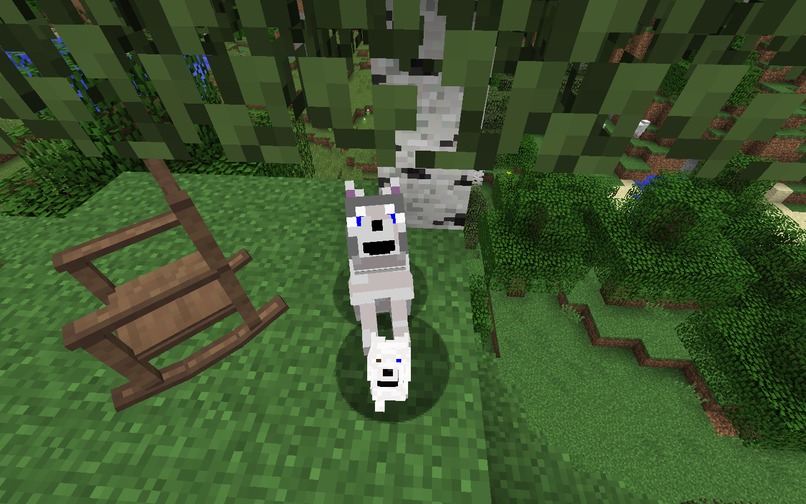 Dog Genetics in Minecraft – screenshot 8