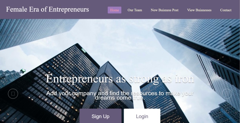 Female Era of Entrepreneurs – screenshot 2