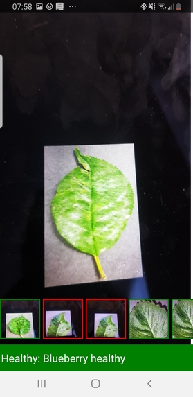 DiseaseFinder – screenshot 1