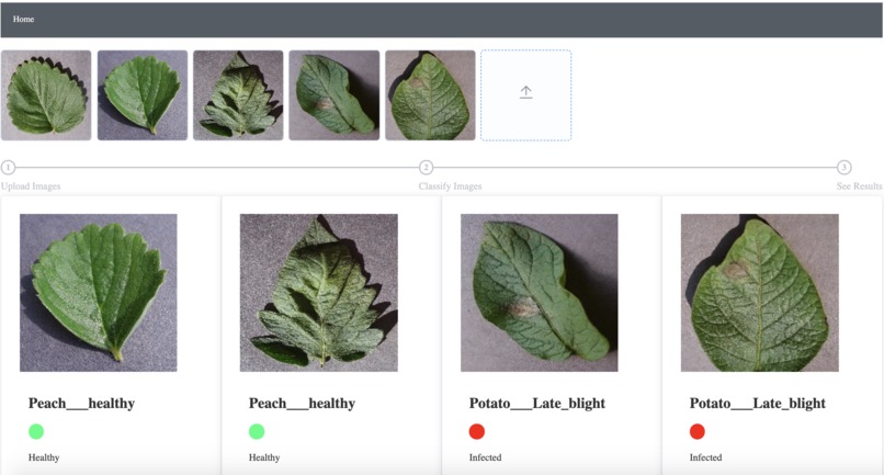 DiseaseFinder – screenshot 2