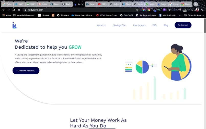 Kudysave – screenshot 1