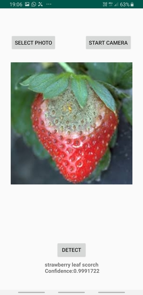 Plant Disease Detection App – screenshot 2