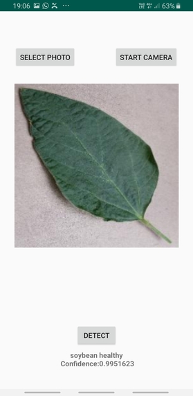 Plant Disease Detection App – screenshot 3