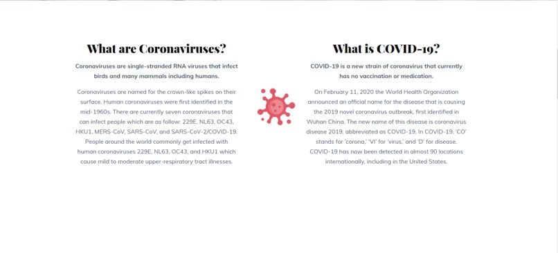 COVID-19 Game – screenshot 4