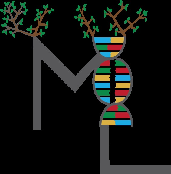 The Missing Links – screenshot 1