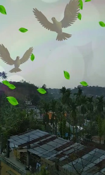Joy of Nature – screenshot 1