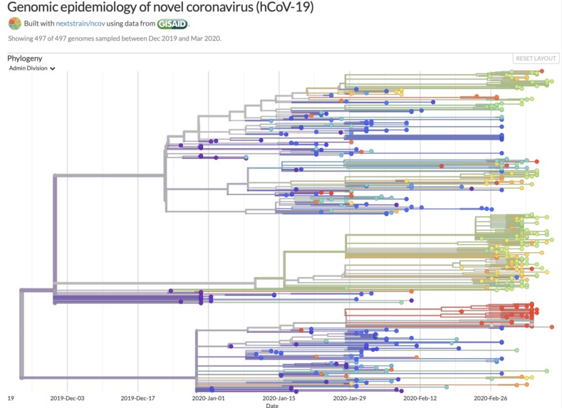 COVID19 – screenshot 4