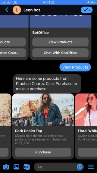 Leon Bot – screenshot 2