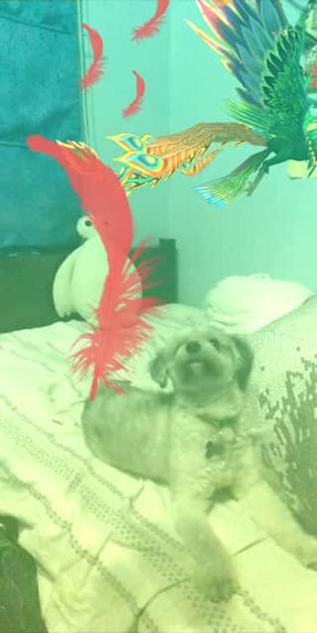 Ibong Adarna - Philippine Epic – screenshot 1