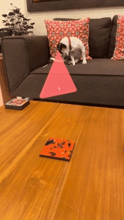 Lofi Beats To Grow Trees To – screenshot 1