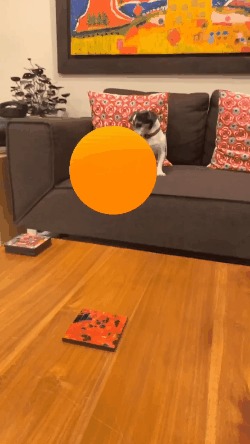 Lofi Beats To Grow Trees To – screenshot 4