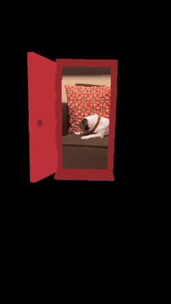 Lofi Beats To Grow Trees To – screenshot 8