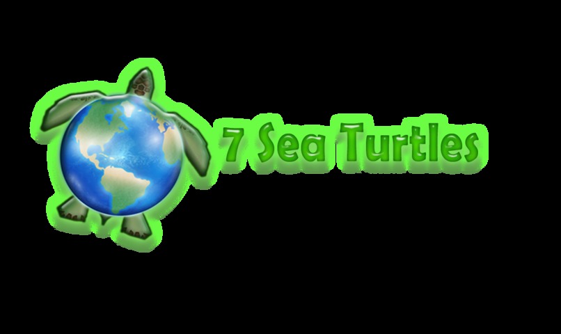 Seven Sea Turtles – screenshot 1