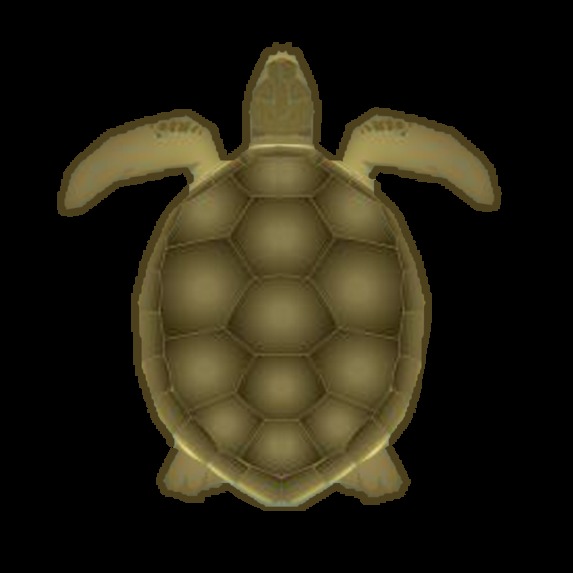 Seven Sea Turtles – screenshot 3
