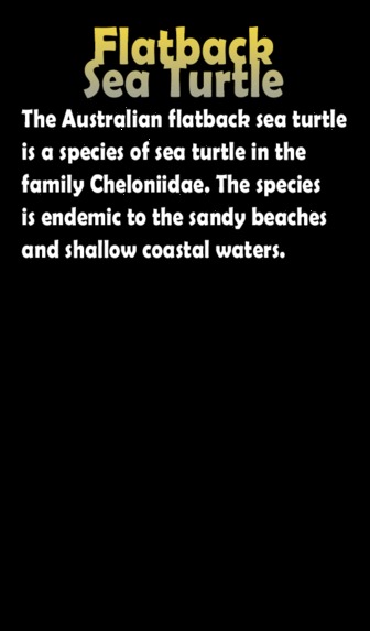 Seven Sea Turtles – screenshot 4