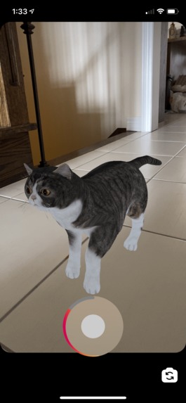 Pets for everyone! – screenshot 1