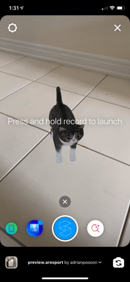 Pets for everyone! – screenshot 2