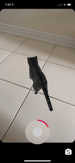 Pets for everyone! – screenshot 3