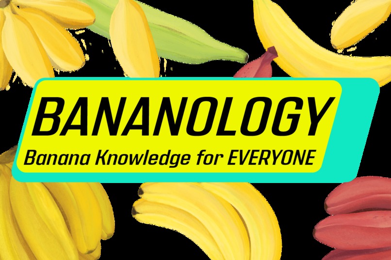 BANANOLOGY – screenshot 1