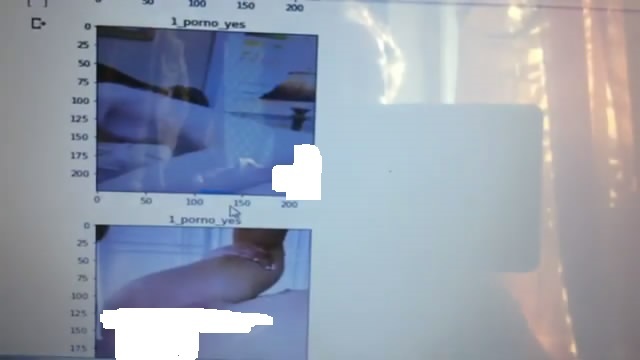 pornDetectPyTorchFlaskServer – screenshot 2