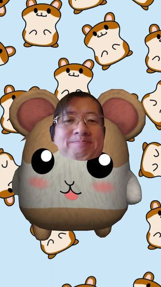Costume AR - hamster feelings – screenshot 2