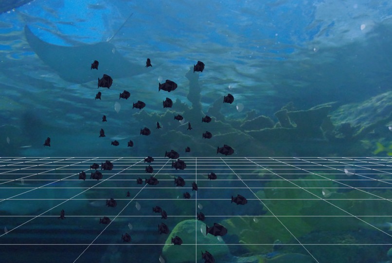 BubblyFishes – screenshot 1