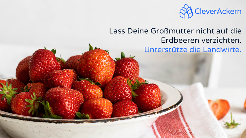 29_landwirtschaft_CleverAckern – screenshot 1