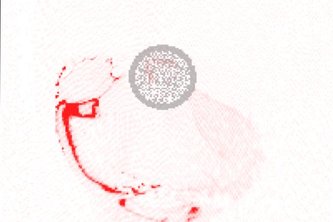 020_corona-testprozesse_FluoreszenzTest