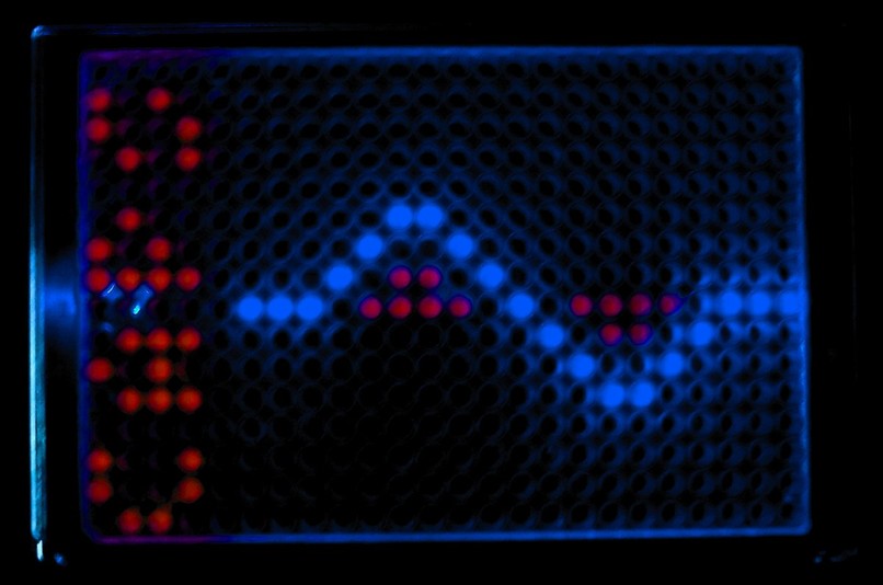 #408 - Reduzierung der Übertragung durch kontam. Oberflächen – screenshot 3