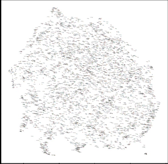 Contraste de información en tiempos del COVID-19 – screenshot 6