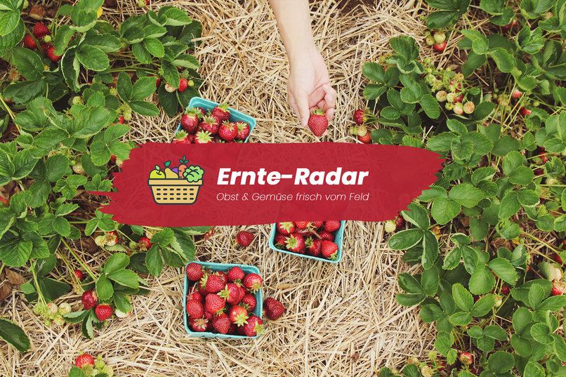 003_arbeiterinnenverteilung_Ernteradar – screenshot 2